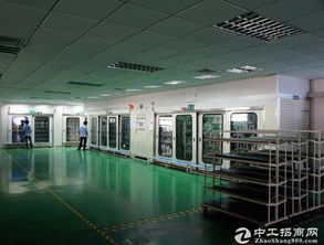 平湖华南城电商仓库出租及装饰装修工程介绍